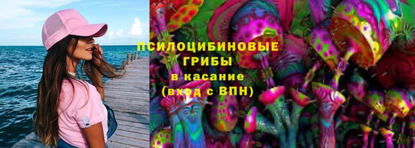 ПСИЛОЦИБИНОВЫЕ ГРИБЫ Верхнеуральск